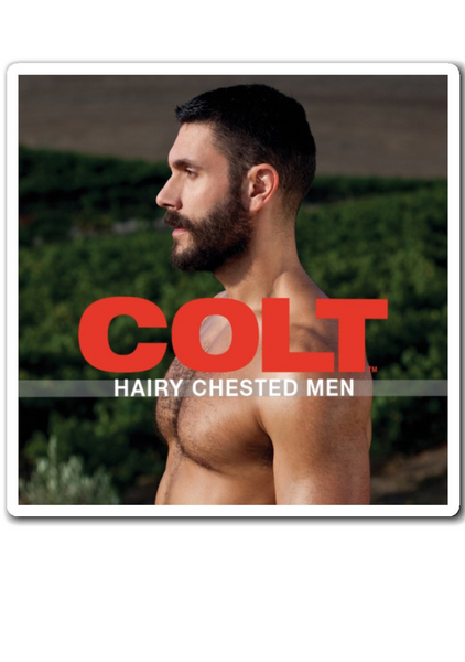 COLT Men Magnet - Hairy Chested Men