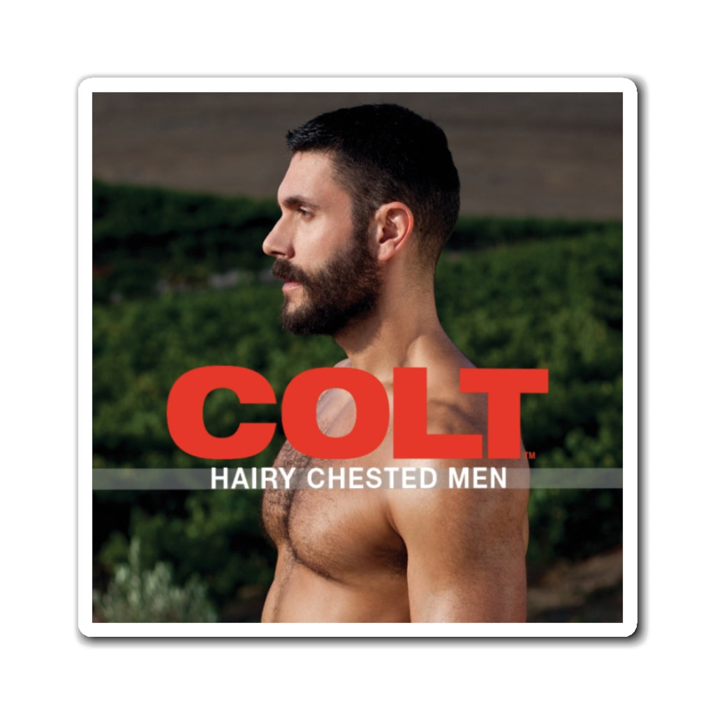 COLT Men Magnet - Hairy Chested Men